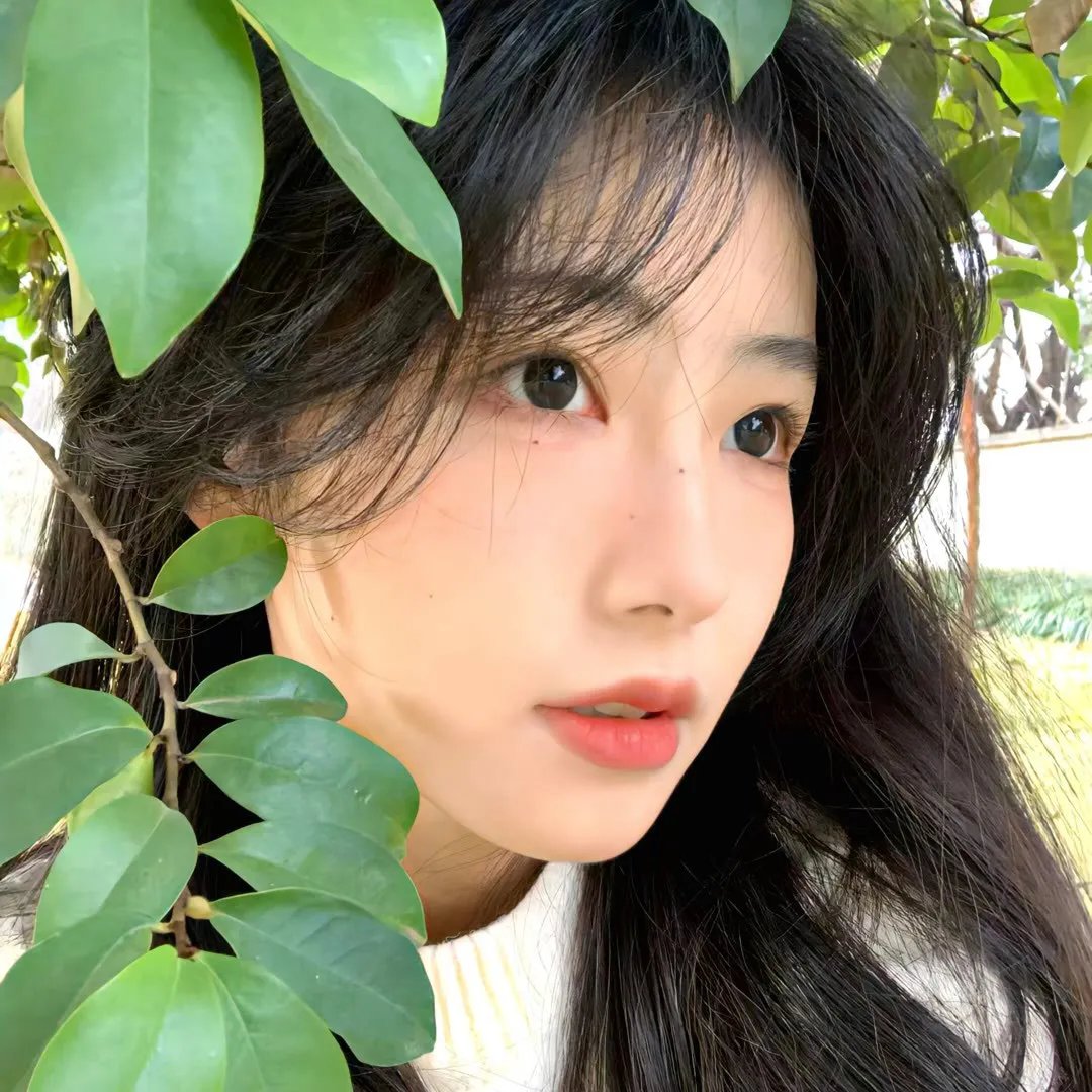 学校的墙不见了